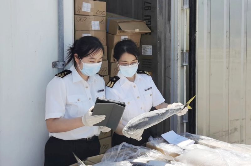 提速度 保安全 ——烟台海关保障冷冻产品顺畅进口(图) 提速度 保安全 ——烟台海关保障冷冻产品顺畅进口(图)