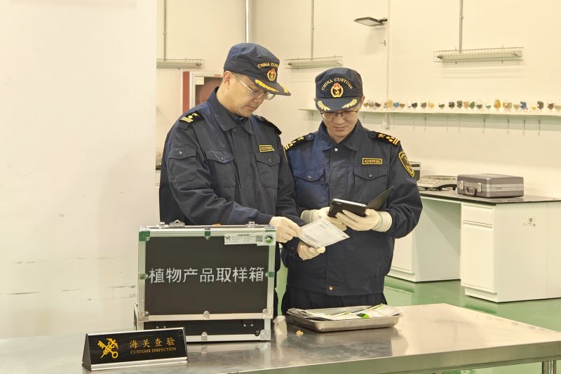 万象“耕”新----青岛空港进口种子高效通关(图) 万象“耕”新----青岛空港进口种子高效通关(图)