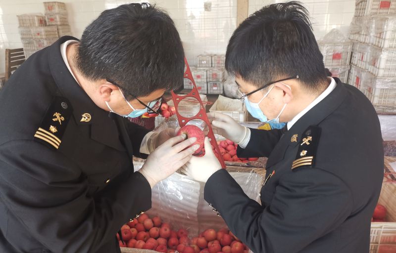 借力地理标志东风 烟台苹果加速拓展欧盟市场 借力地理标志东风 烟台苹果加速拓展欧盟市场