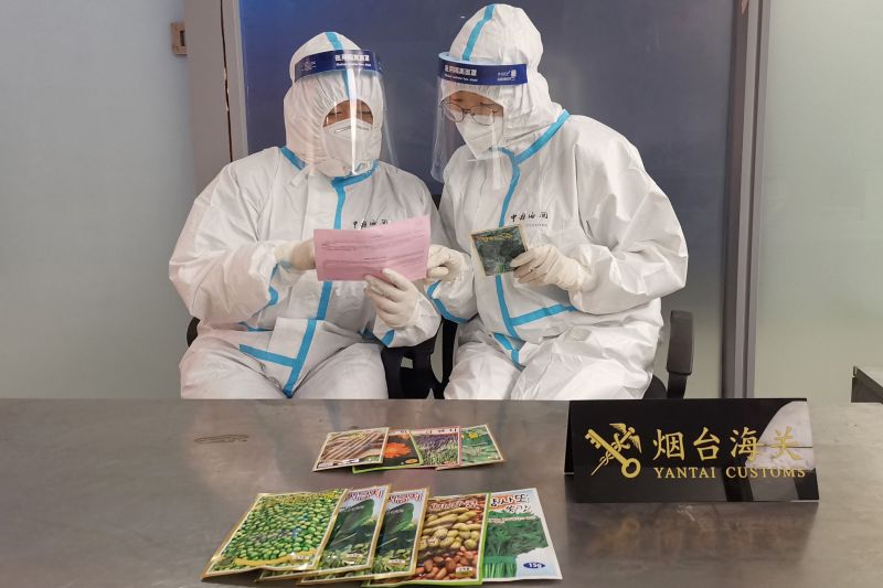 9个品种植物种子非法入境被查获(图) 9个品种植物种子非法入境被查获(图)