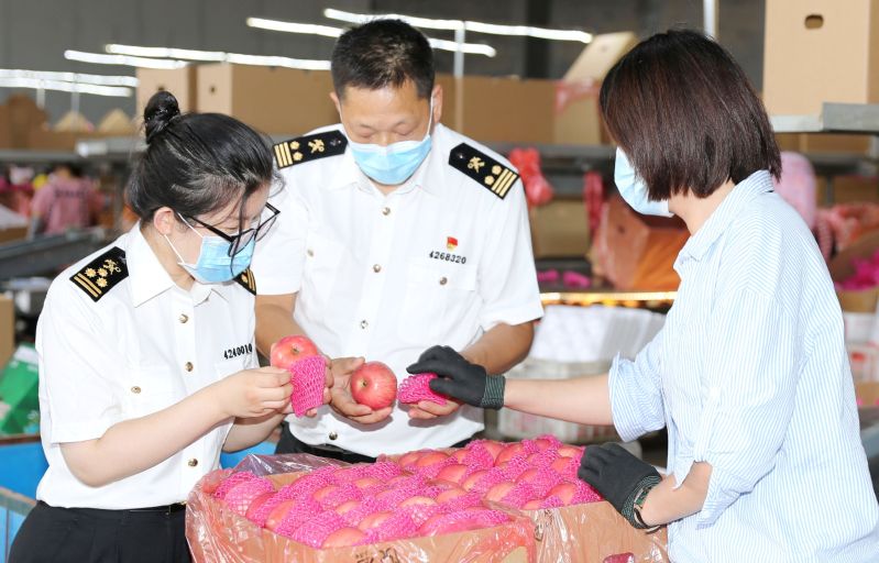 出口质量有保障 烟台苹果香飘四海(图) 出口质量有保障 烟台苹果香飘四海(图)