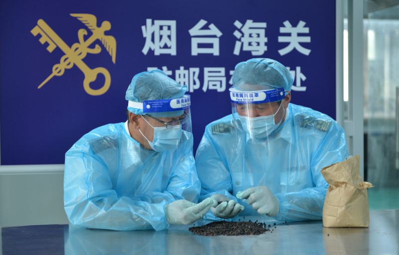 烟台海关在进境邮件中截获荞麦种子1千克(图) 烟台海关在进境邮件中截获荞麦种子1千克(图)